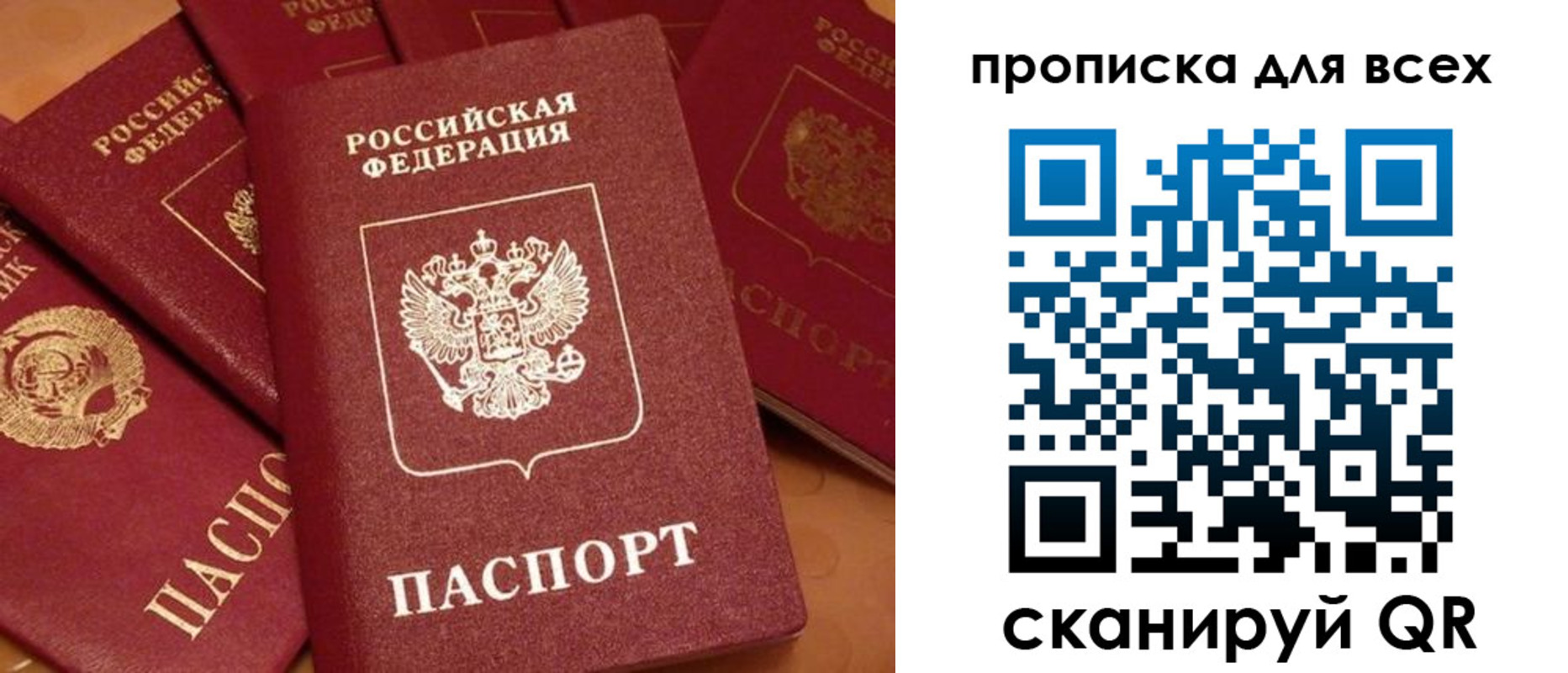 временная регистрация поиск в Лосино-Петровском