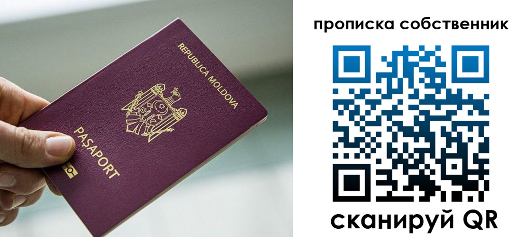 прописка паспорт в Лосино-Петровском
